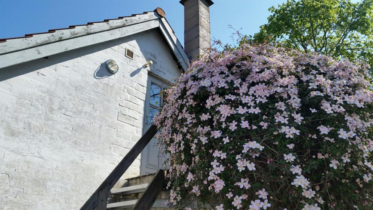 Ferie Lejligheden Landlyst Rødvig Exterior foto
