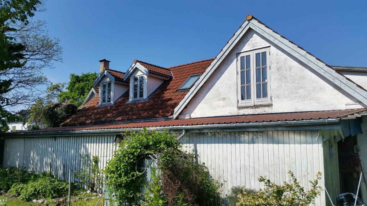Ferie Lejligheden Landlyst Rødvig Exterior foto